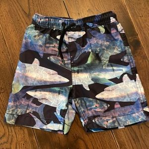 Lands End Boy’s swim trunk 4T